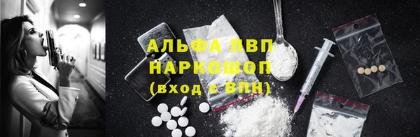 шишки Абаза