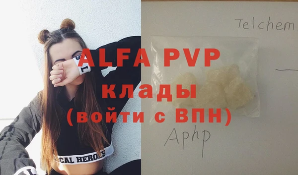шишки Абаза
