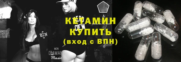 шишки Абаза