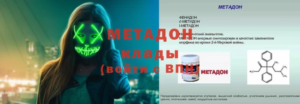 шишки Абаза