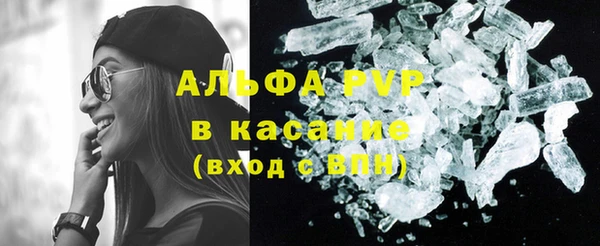 шишки Абаза