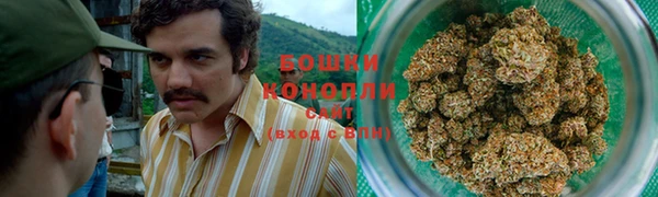 шишки Абаза