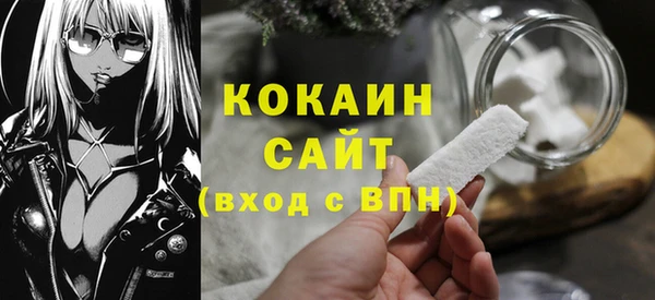 шишки Абаза