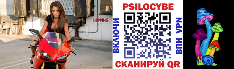 Псилоцибиновые грибы прущие грибы  Шебекино 